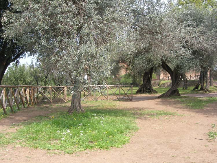 Villa Adriana (23)