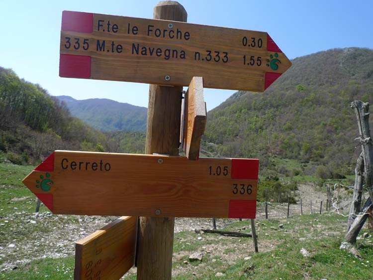 Monte Navegna (07)